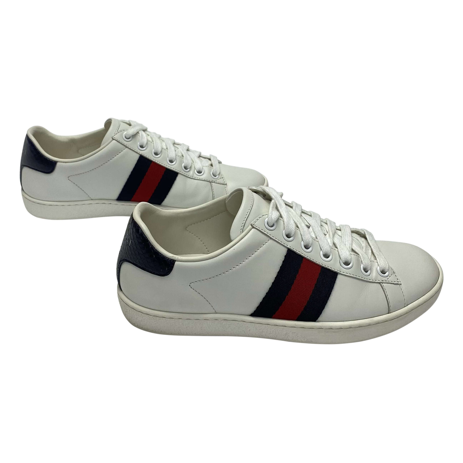 Tênis Gucci Ace Web Couro Branco